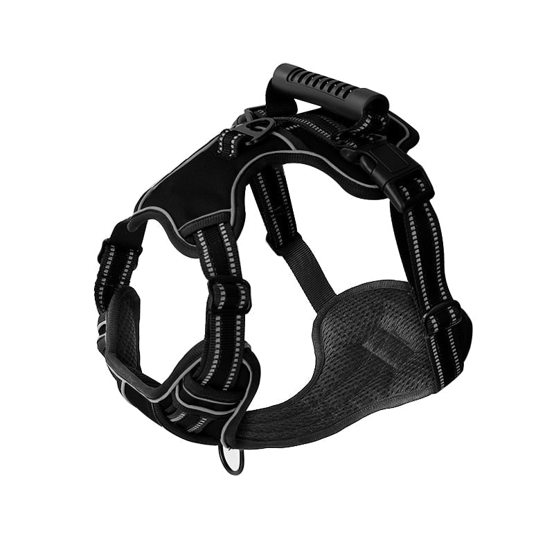 Dog Harness And Retractable Leash Set