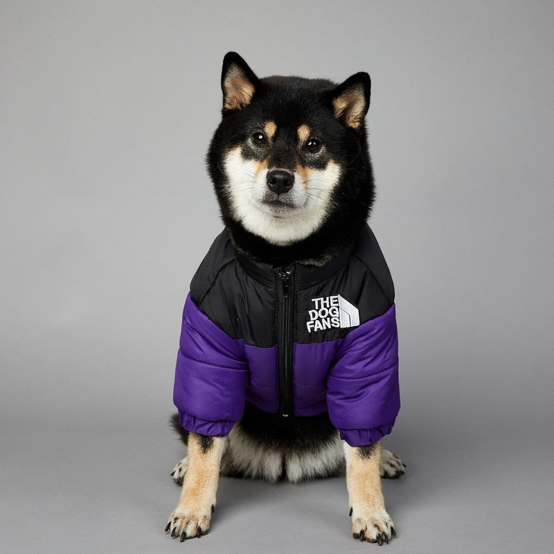 Dog Face Puffer Coat