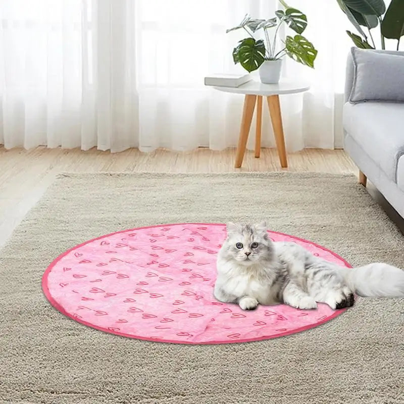 2 in 1 Simulated Interactive Hunting Cat Toy