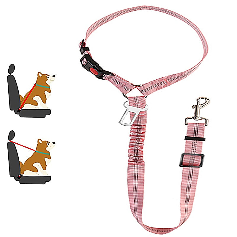 Car Dog Leash