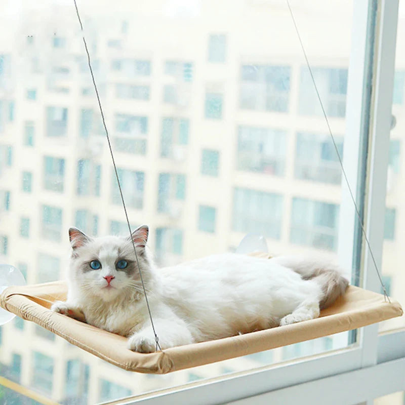 Cat Window Mounted Perch Hammock