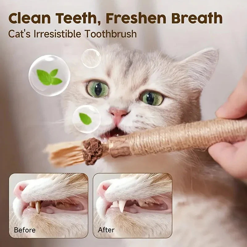 CAT SILVERVINE CHEWING STICK