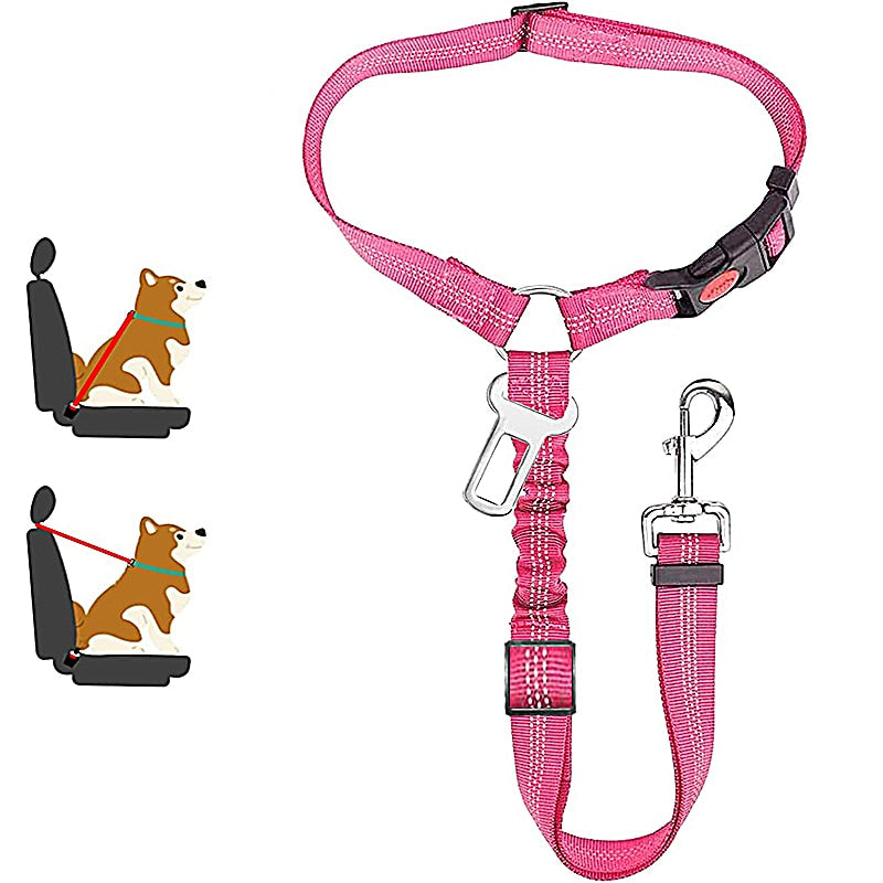 Car Dog Leash