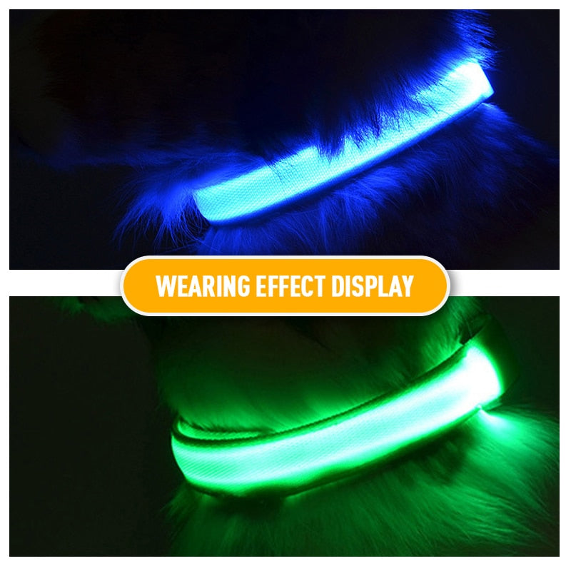 LED Flashing Dog Collar