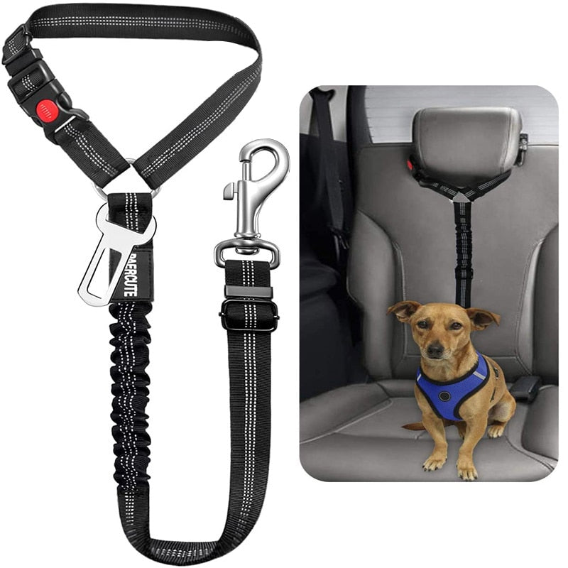 Car Dog Leash