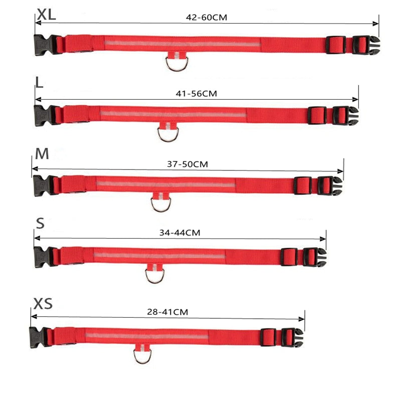 LED Flashing Dog Collar