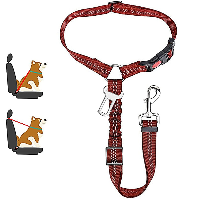 Car Dog Leash