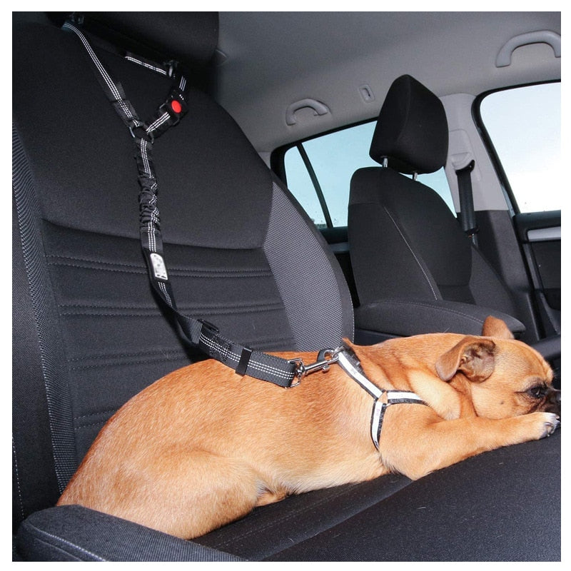 Car Dog Leash