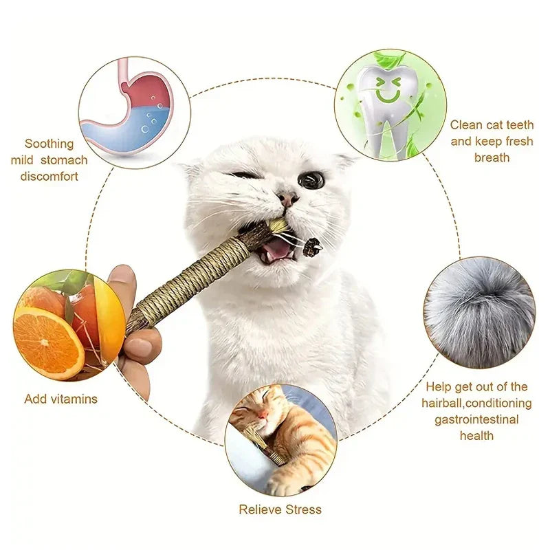 CAT SILVERVINE CHEWING STICK