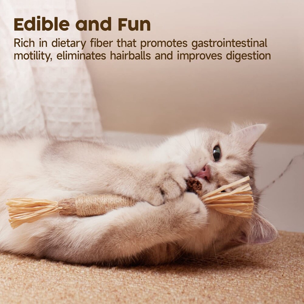 Natural Silvervine Stick Cat Chew Toy-2pcs