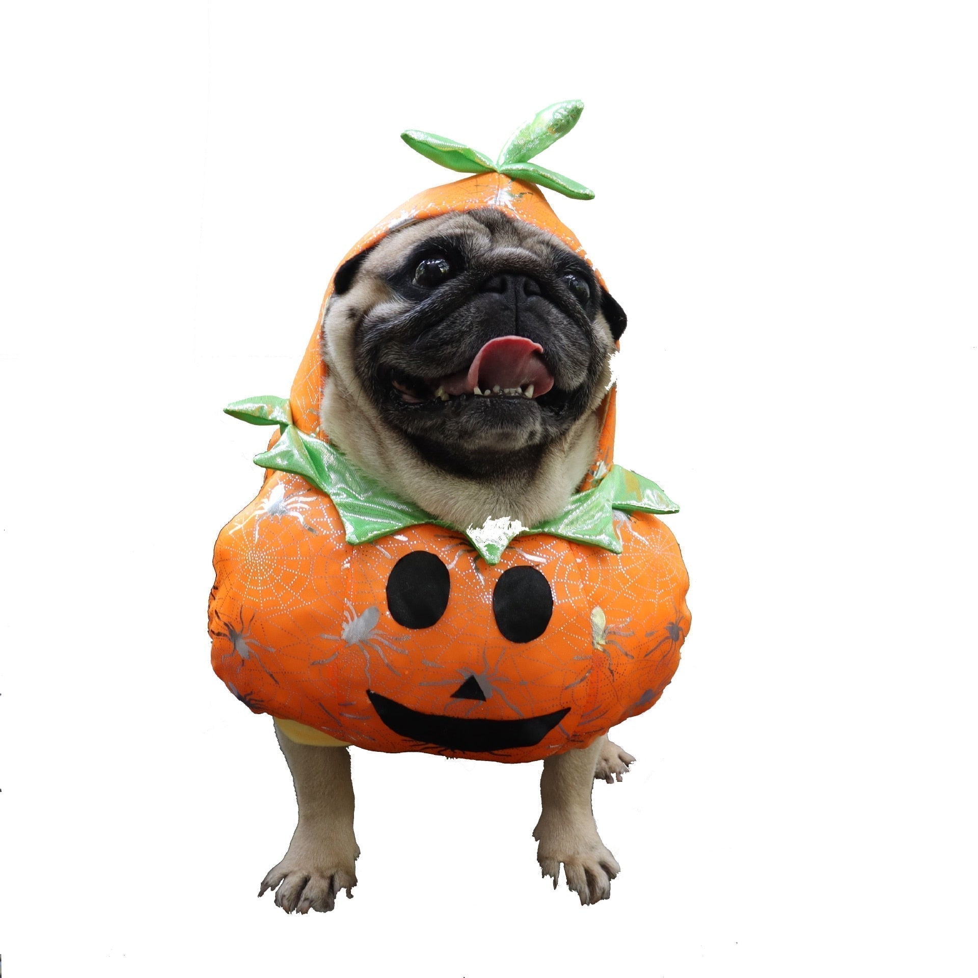 Dog Pumpkin Halloween Costume