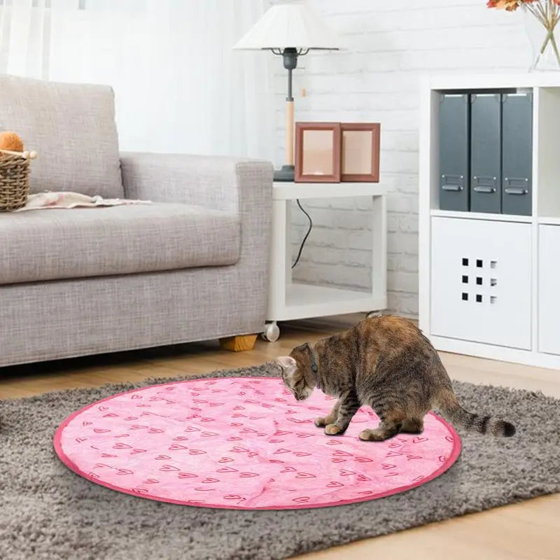 2 in 1 Simulated Interactive Hunting Cat Toy