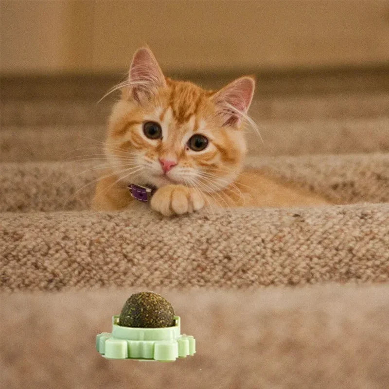 Natural Catnip Rotating Interactive Cat Toy