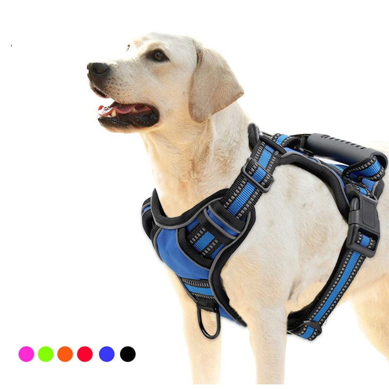 Dog Harness And Retractable Leash Set